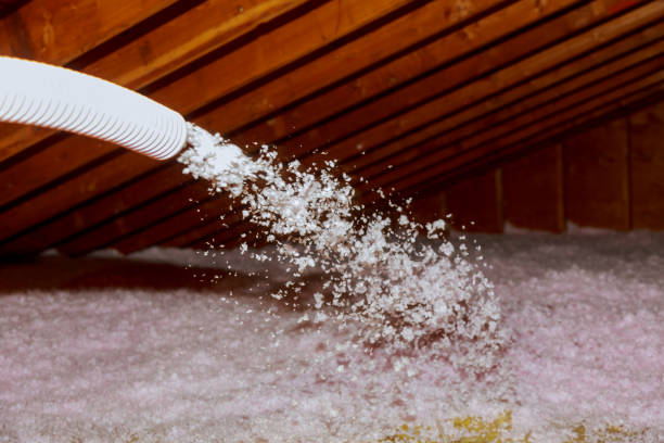 Best Fiberglass Insulation in Acton, CA