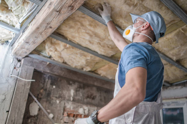 Best Specialized Insulation Services in Acton, CA